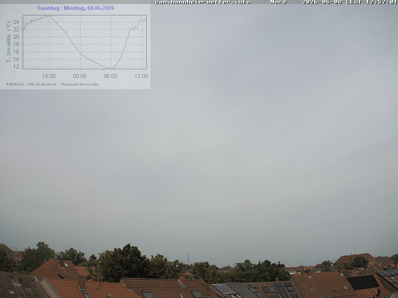 skycam Mannheim